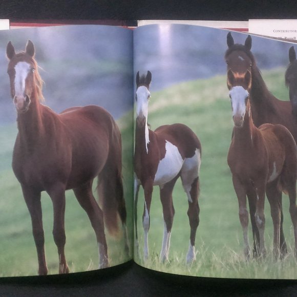 Thunder of the Mustangs Table Book - Picture 4 of 4